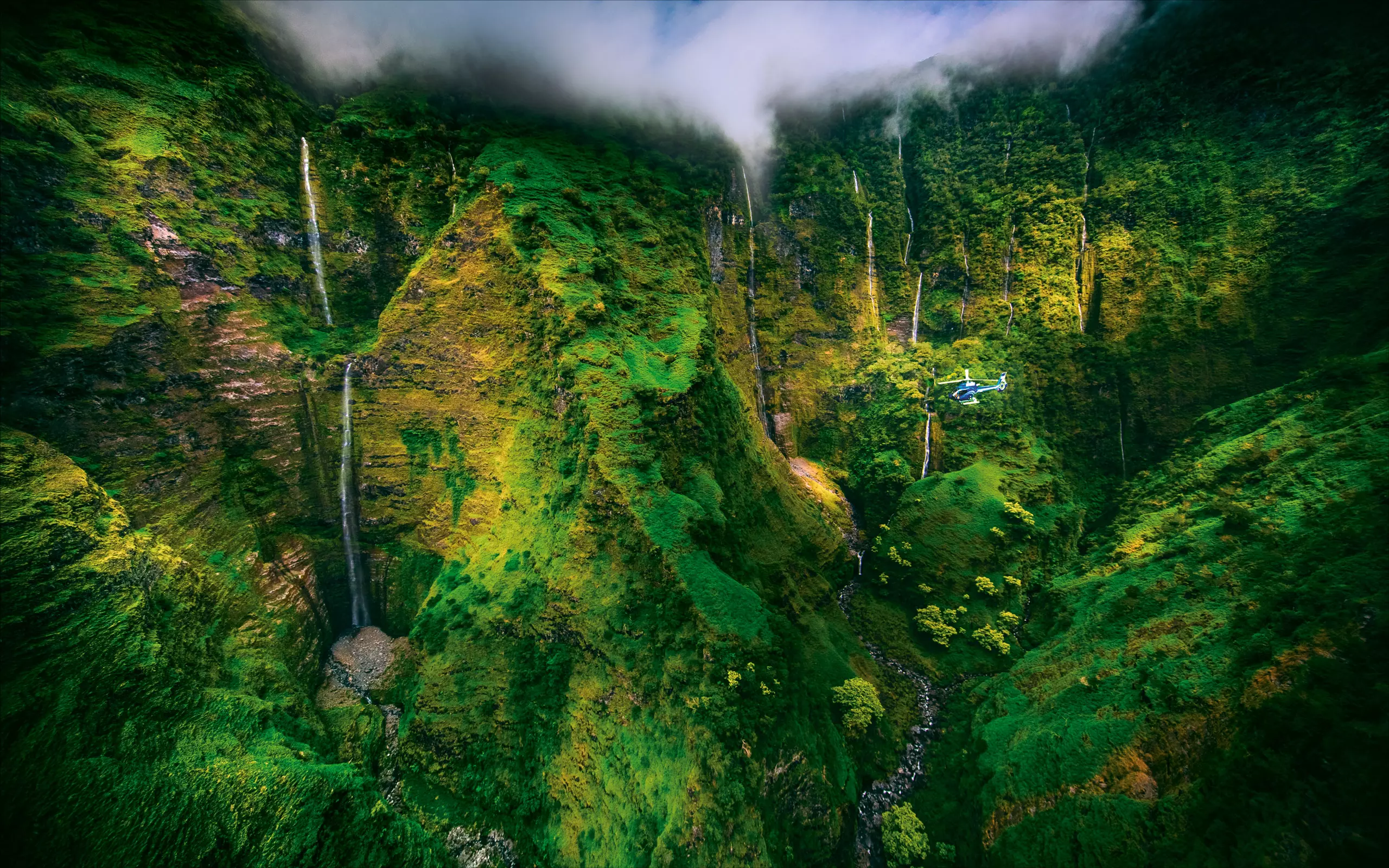Hana Rainforest photo