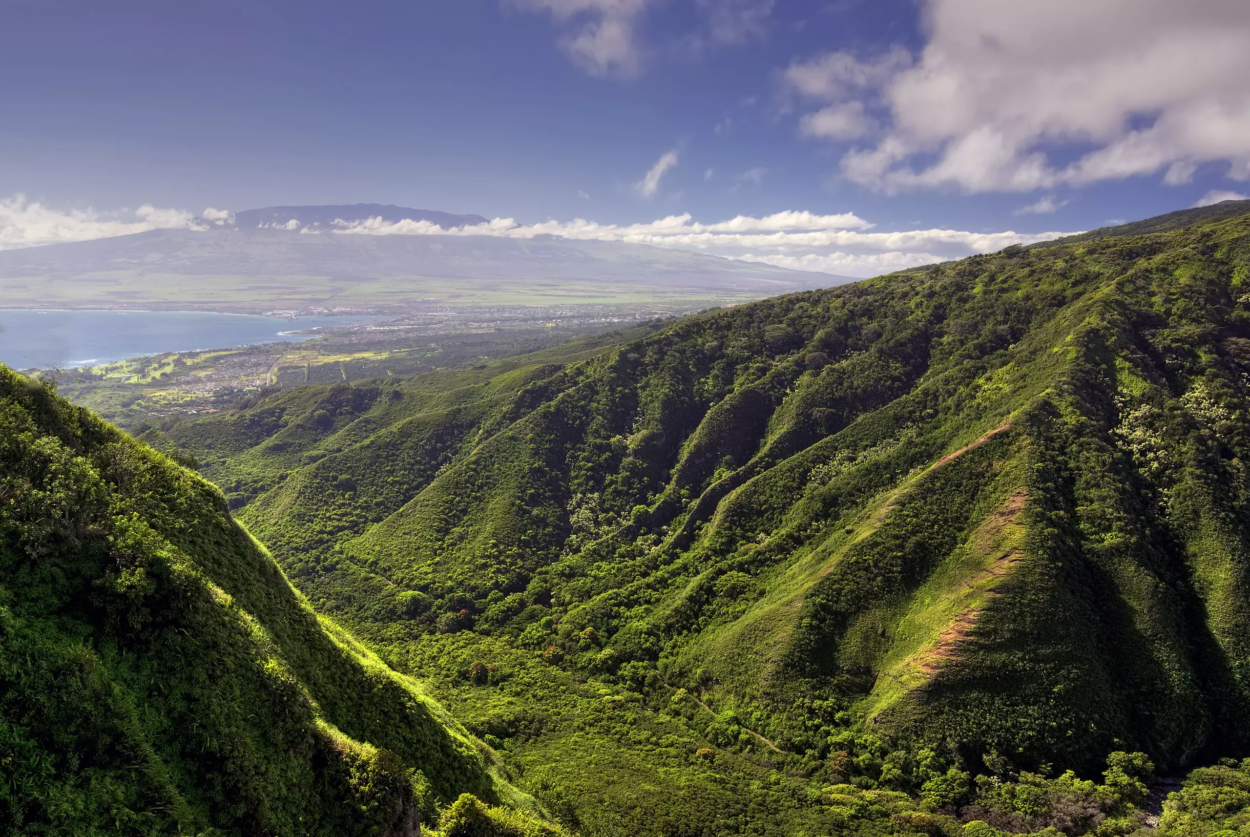 Hana Rainforest photo